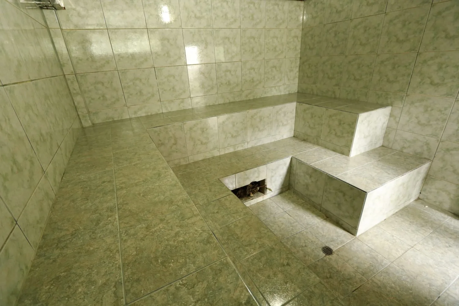 Piscina exterior